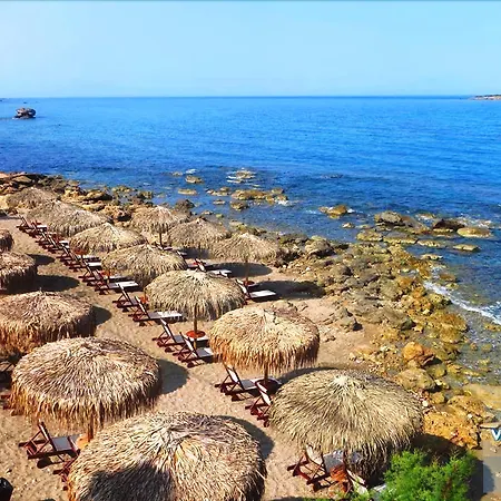 Pheia, Vriniotis 4*