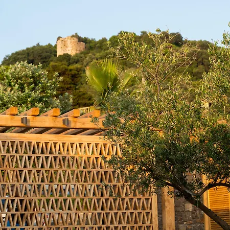 Pheia, Vriniotis Hotel 4*