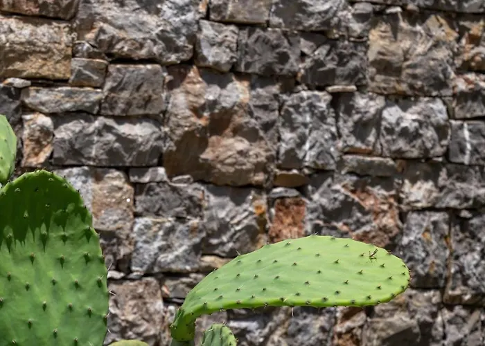 Pheia, Vriniotis 4* Katakolo